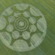 Illustration for article titled The Most Astonishing Crop Circle Artworks of 2014
